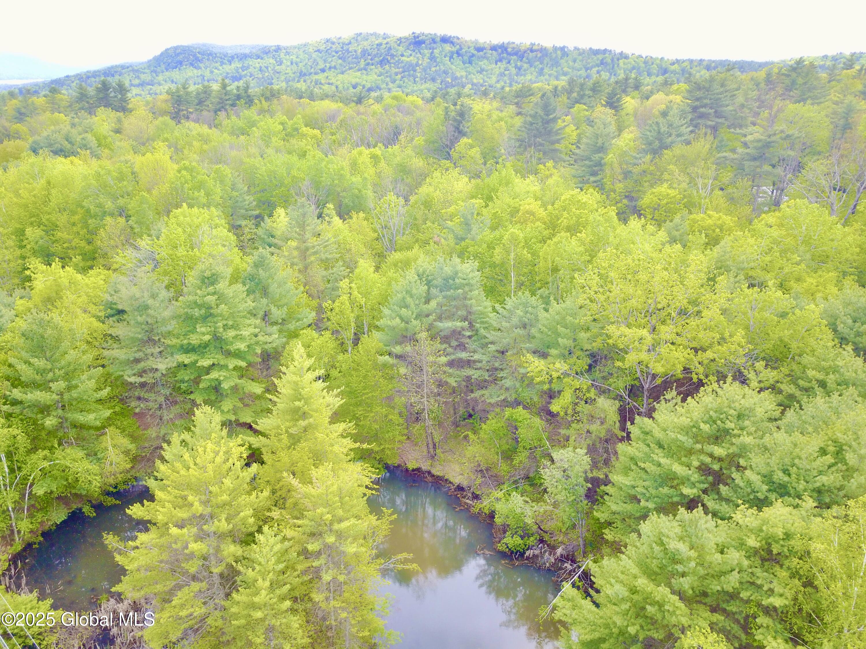441 Coolidge Hill Road, Diamond Point, New York image 8