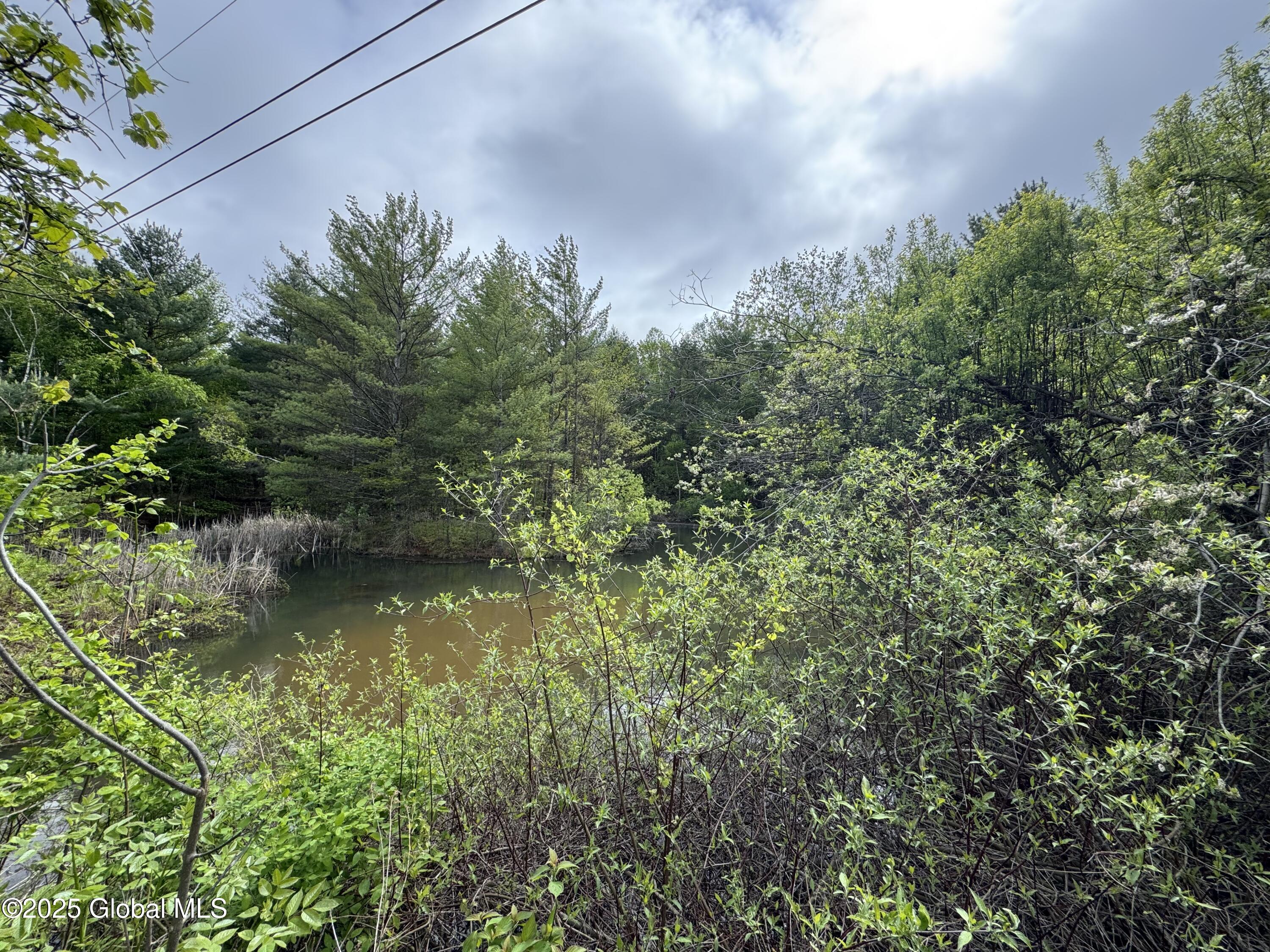 441 Coolidge Hill Road, Diamond Point, New York image 5