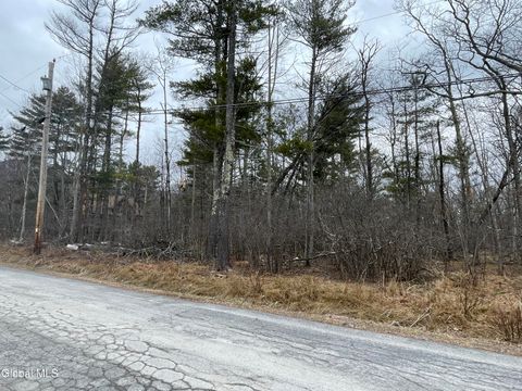 Vacant Land For Sale - L40.000 Stone Mt Road<br/> Greene County, Round Top, NY 12473