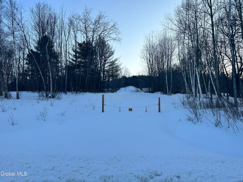 Photo of 0 Maple Dr, Canaan, NY 12060 (MLS # 202612641)