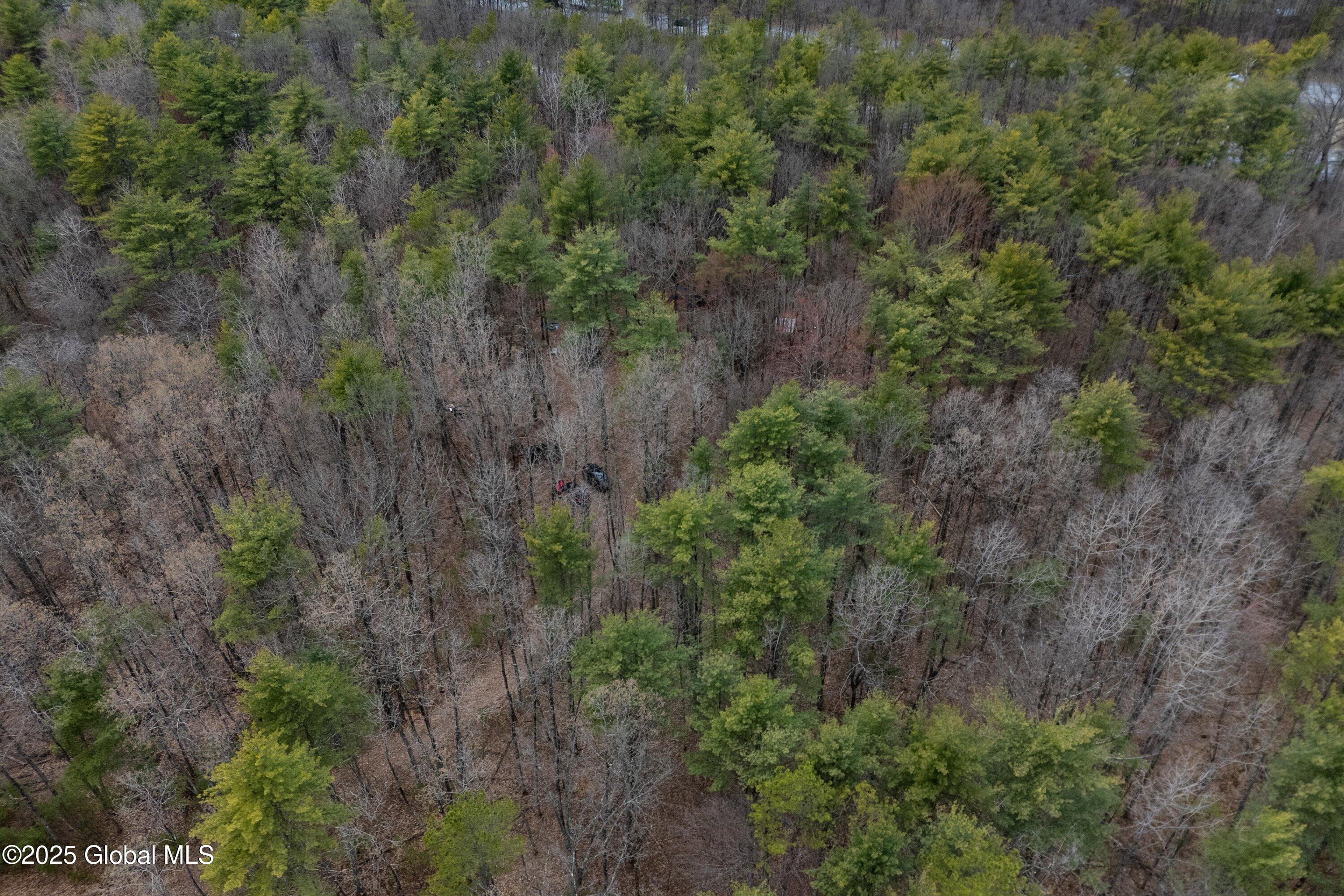 112 Redmond Road, Gansevoort, New York image 11