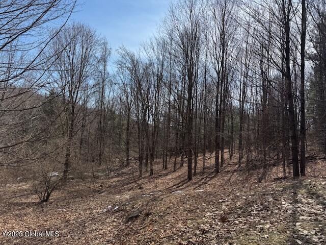 65 Deer Run Way, Hartford, New York image 8