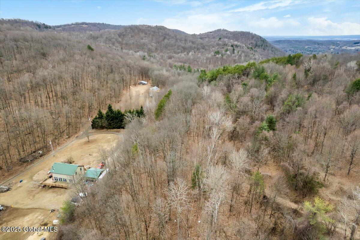 65 Deer Run Way, Hartford, New York image 7
