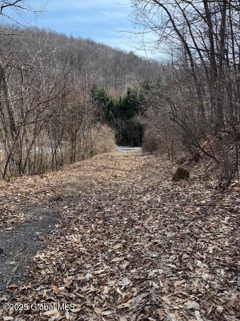 65 Deer Run Way, Hartford, New York image 11