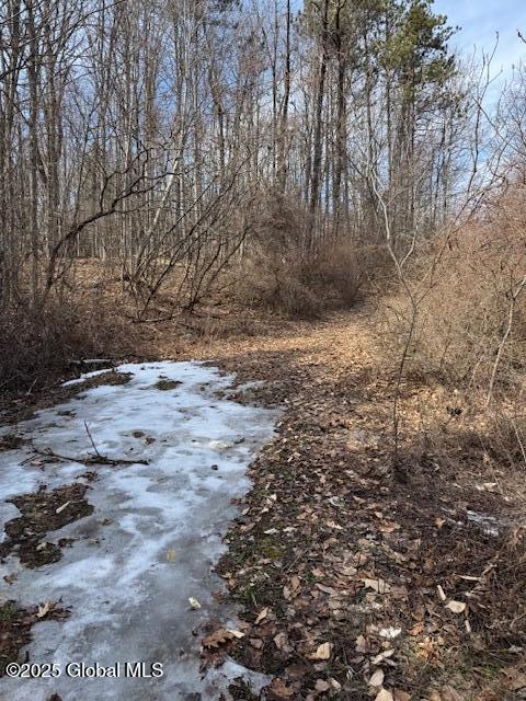 65 Deer Run Way, Hartford, New York image 12