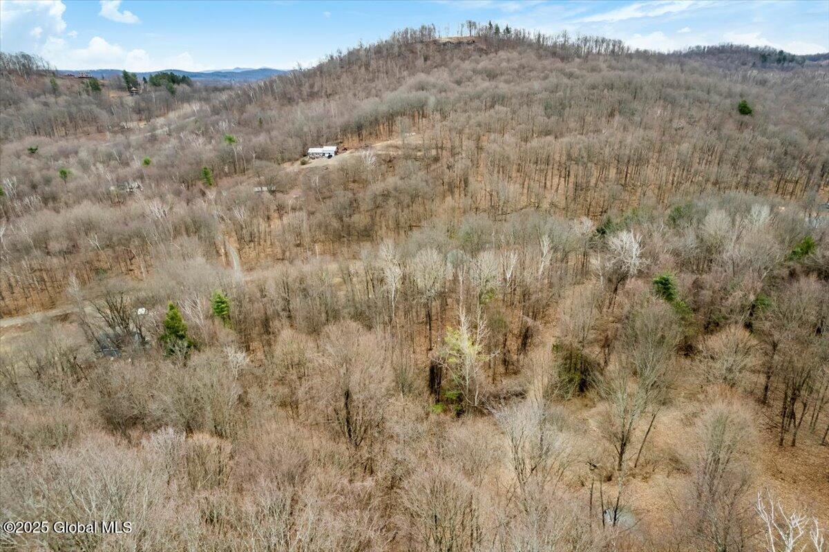 65 Deer Run Way, Hartford, New York image 14