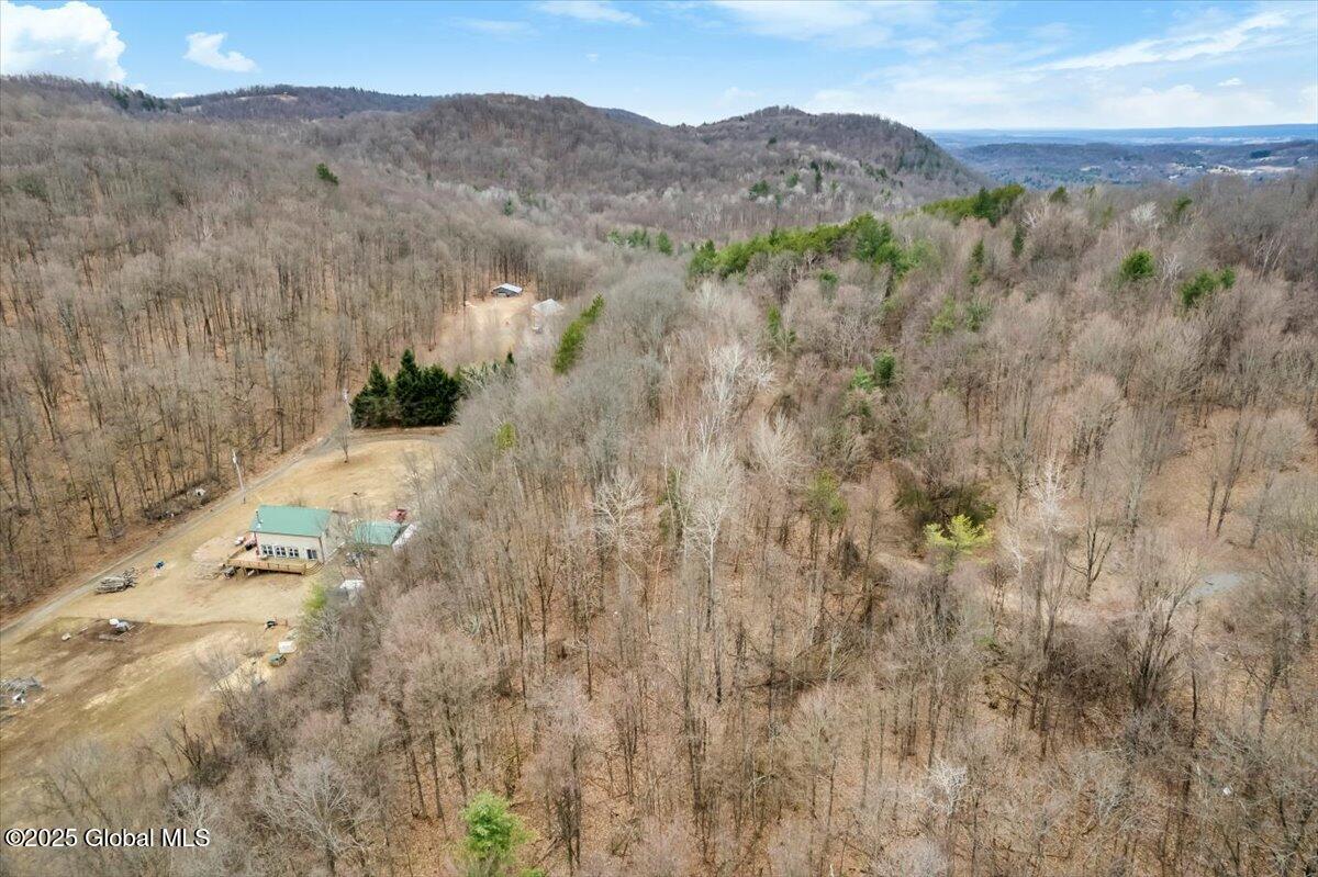 65 Deer Run Way, Hartford, New York image 13
