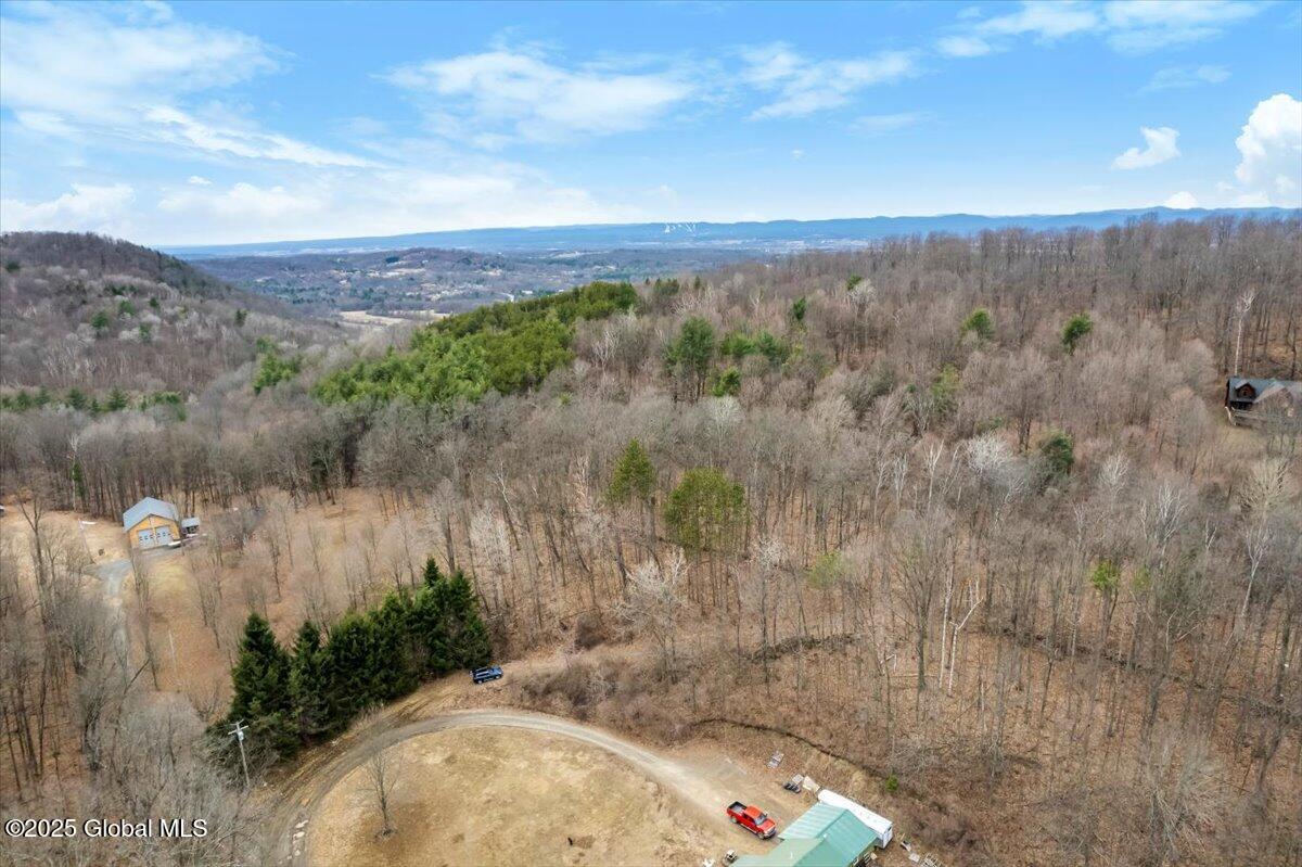 65 Deer Run Way, Hartford, New York image 6