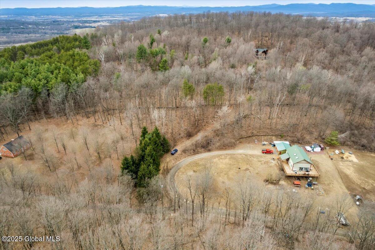 65 Deer Run Way, Hartford, New York image 15