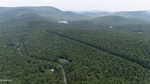 Photo of L50 Gilmantown Road, Wells, NY 12190 (MLS # 202621197)