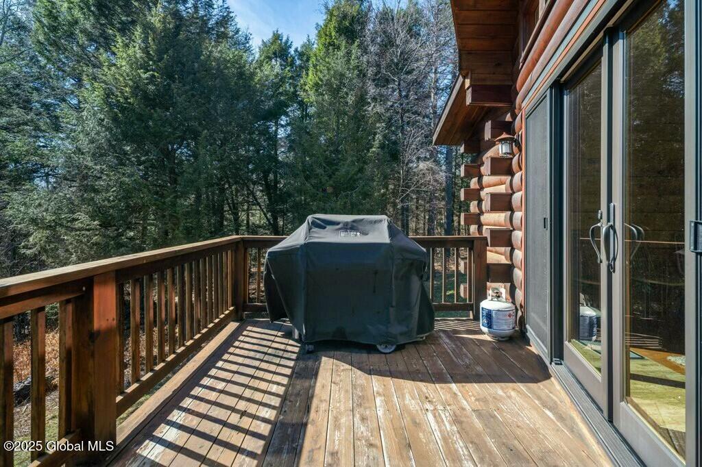 101 Carl Road, Jewett, New York image 47