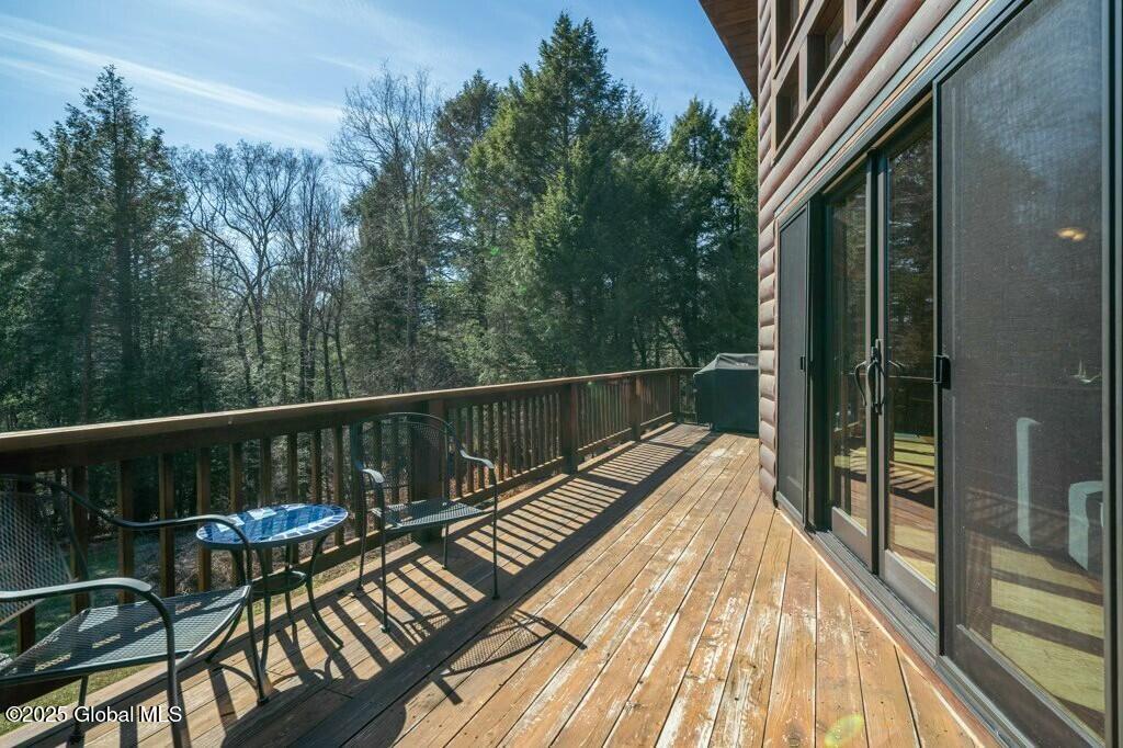 101 Carl Road, Jewett, New York image 44