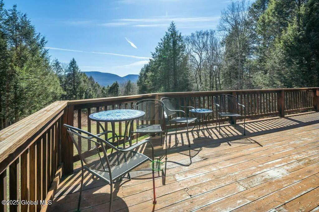 101 Carl Road, Jewett, New York image 43