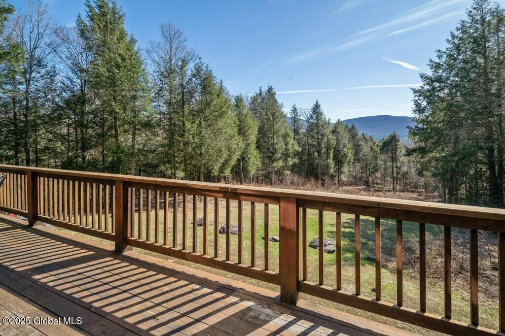 101 Carl Road, Jewett, New York image 45