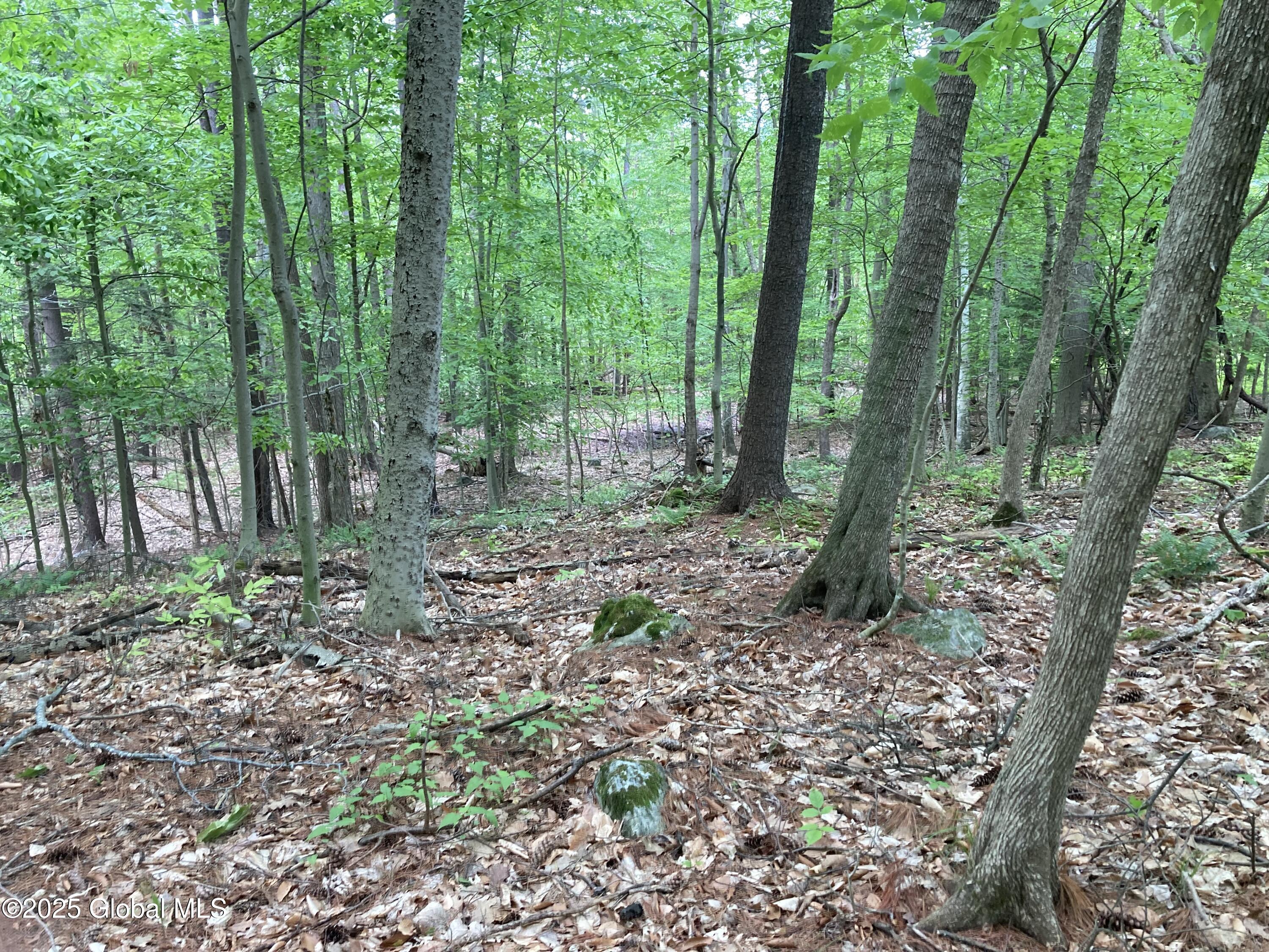 L3 Pine Springs Drive, Ticonderoga, New York image 12