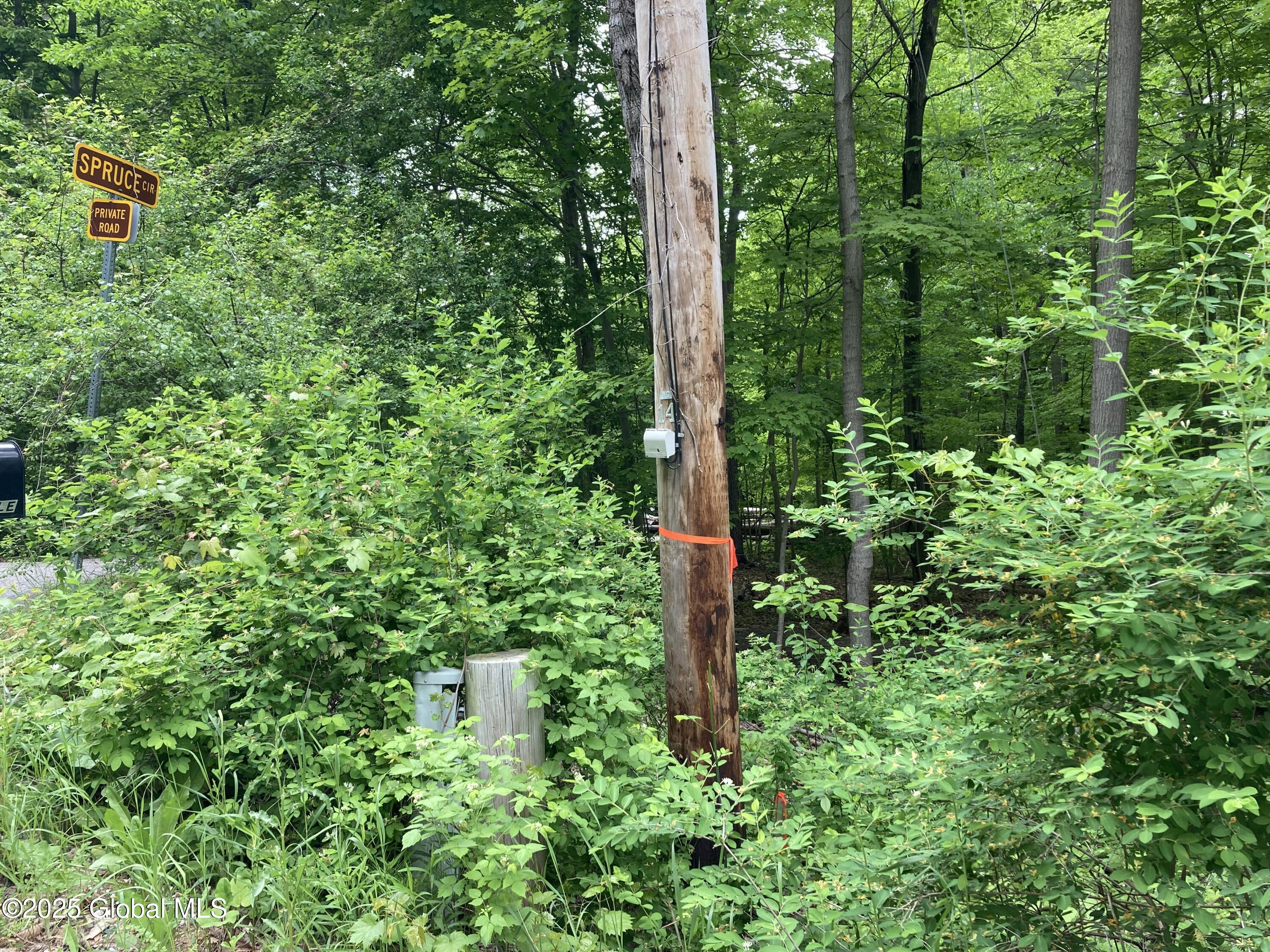 L3 Pine Springs Drive, Ticonderoga, New York image 14