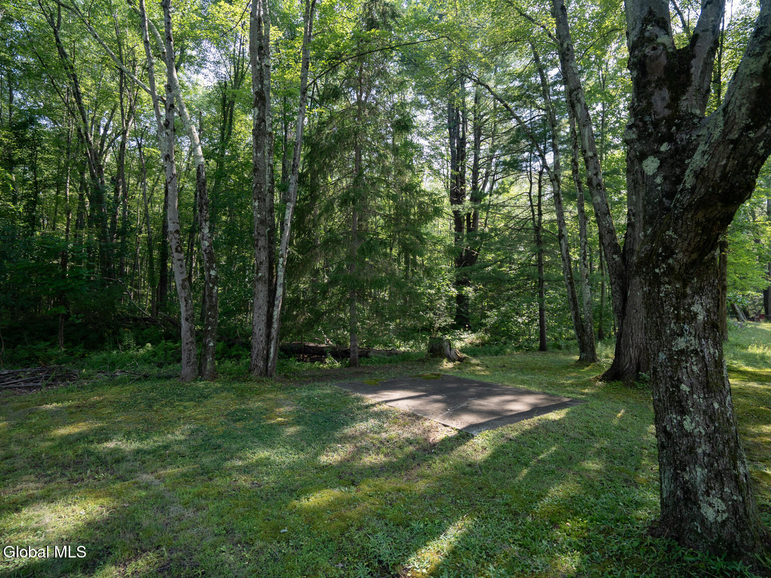 Schenectady, New York 12303, United States, 3 Bedrooms Bedrooms, ,1 BathroomBathrooms,Residential,Contingent,185980