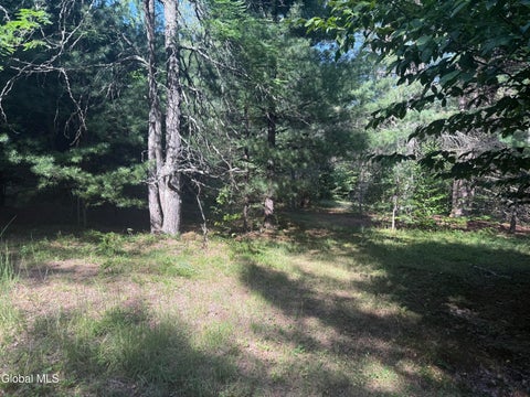 Vacant Land For Sale - 375 Ormsbee Road<br/> Porter Corners, NY 12859