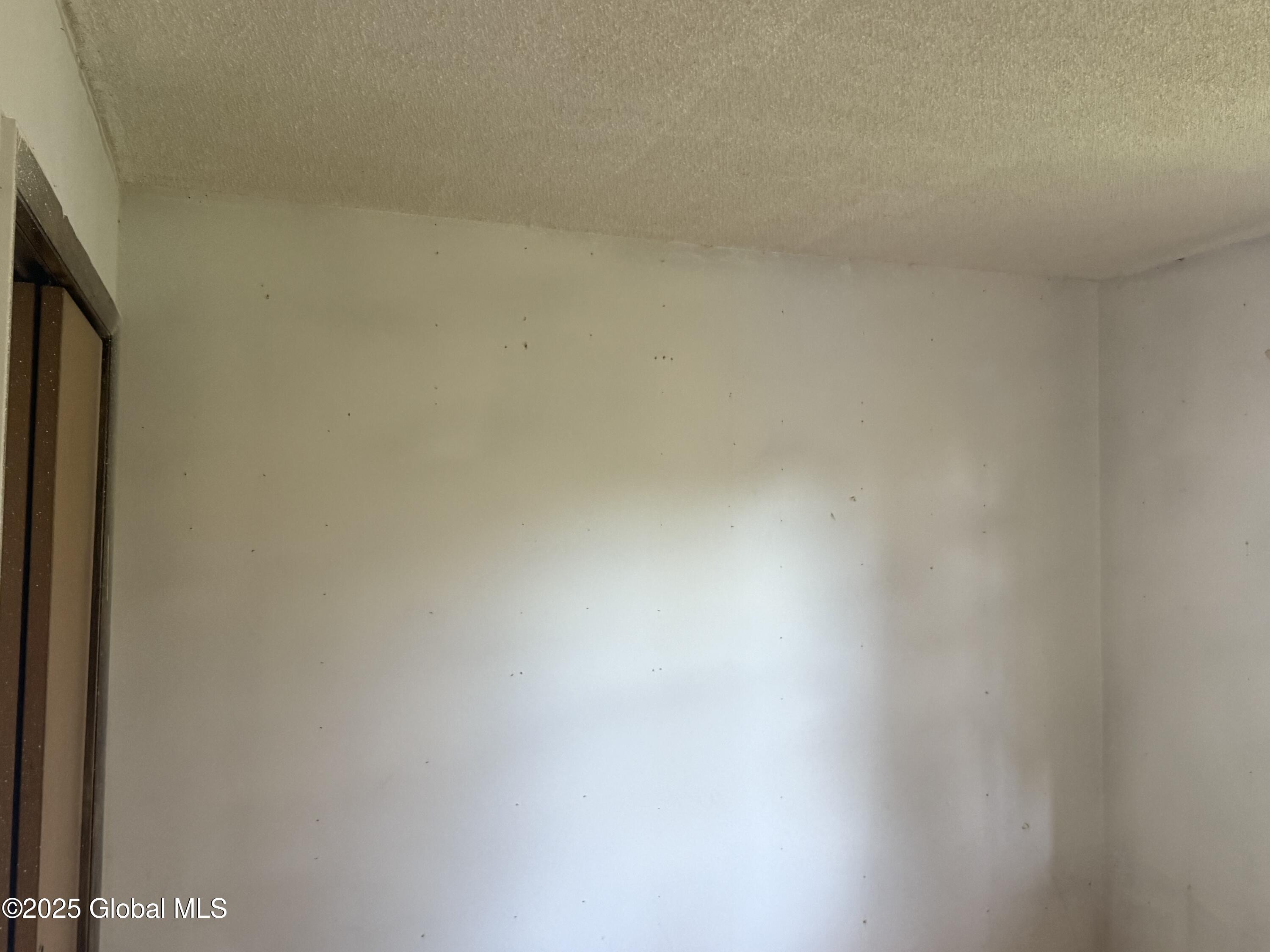 63 Ormond Street, Albany, New York image 19