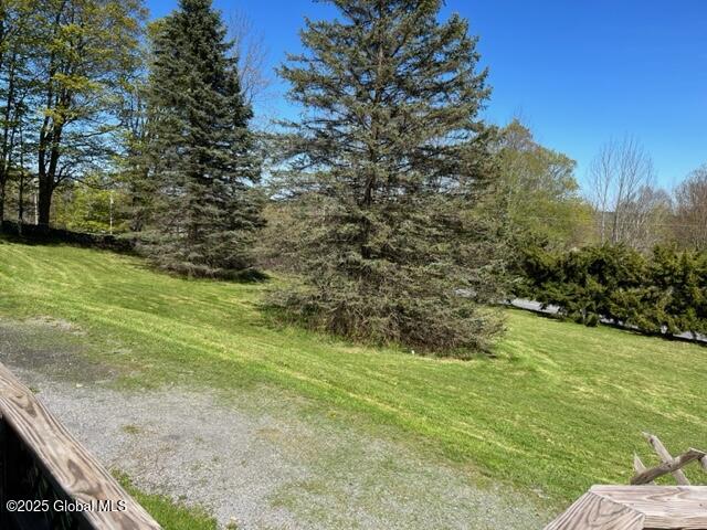 159 Eagle Mountain Road, Summit, New York image 6