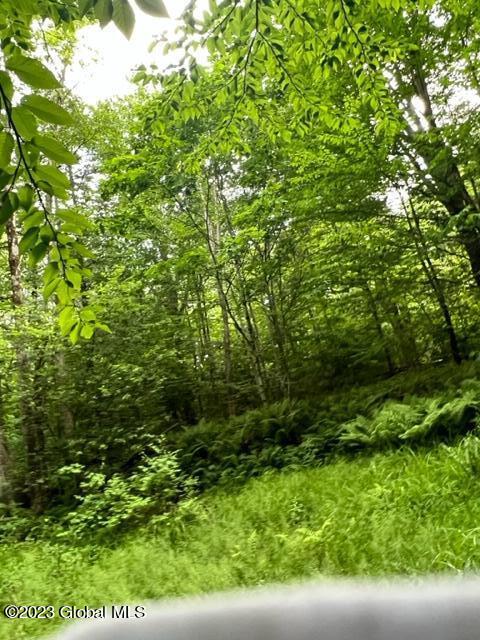 Lot 3 Mcgregor Road, Gloversville, New York image 2