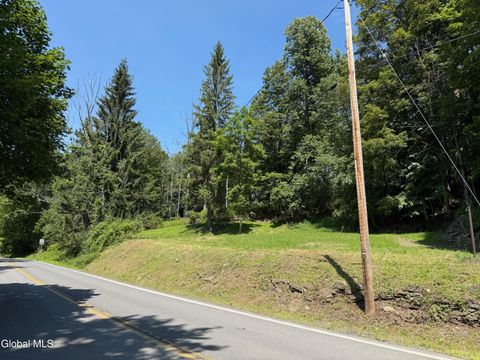 Vacant Land For Sale - 1499 Huntersland Road<br/> Middleburgh, NY 12122
