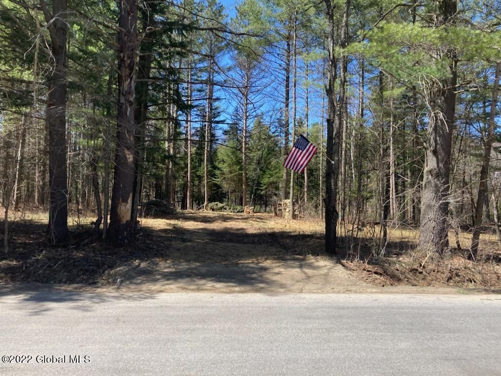 141 Elm Lake Rd Road, Speculator, NY 12164, MLS 202216798 Howard Hanna