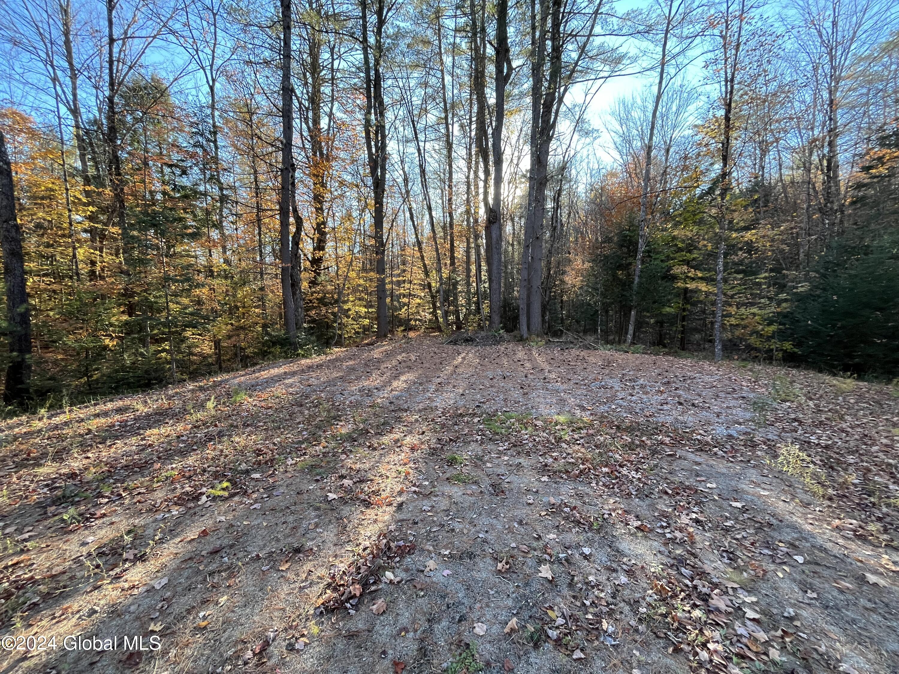 46 Woodridge Road, Brant Lake, New York image 3