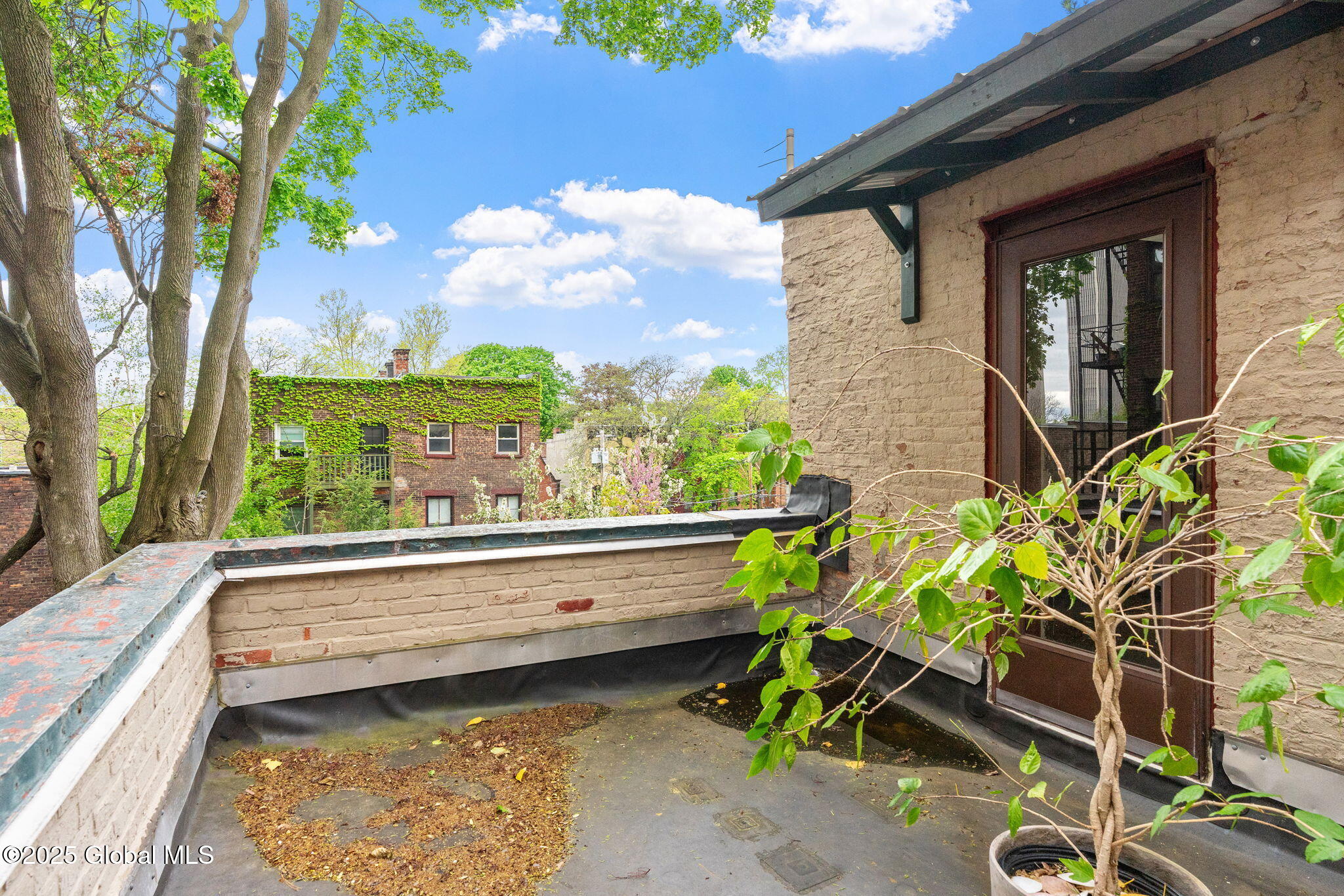 302 State Street, Albany, New York image 38