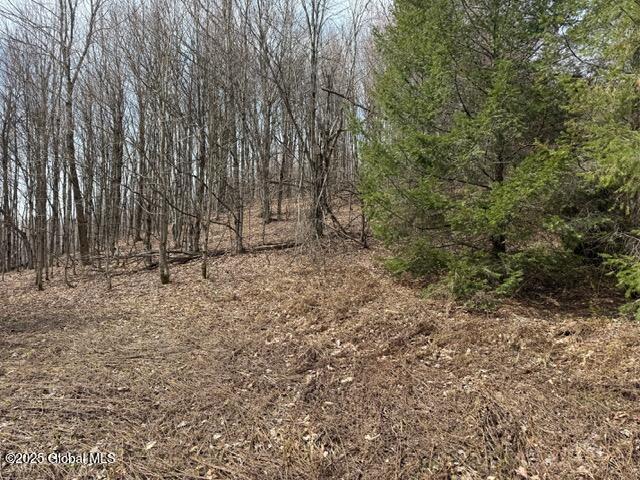 109 Sunrise Sunset Drive, Jefferson, New York image 15