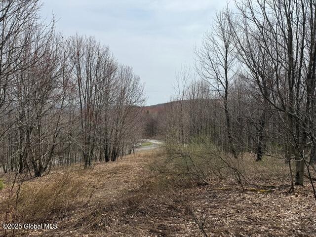 109 Sunrise Sunset Drive, Jefferson, New York image 16