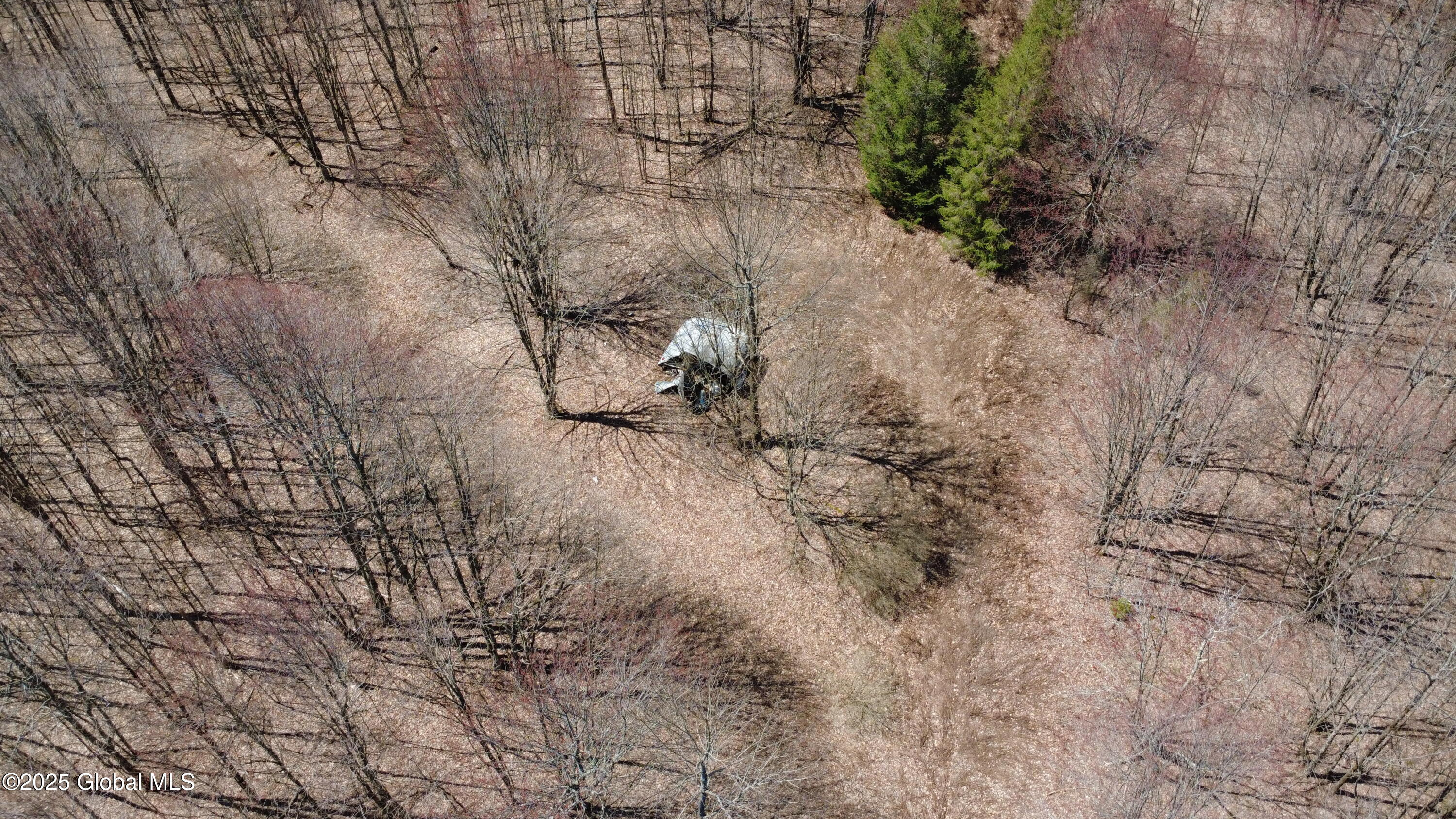109 Sunrise Sunset Drive, Jefferson, New York image 6