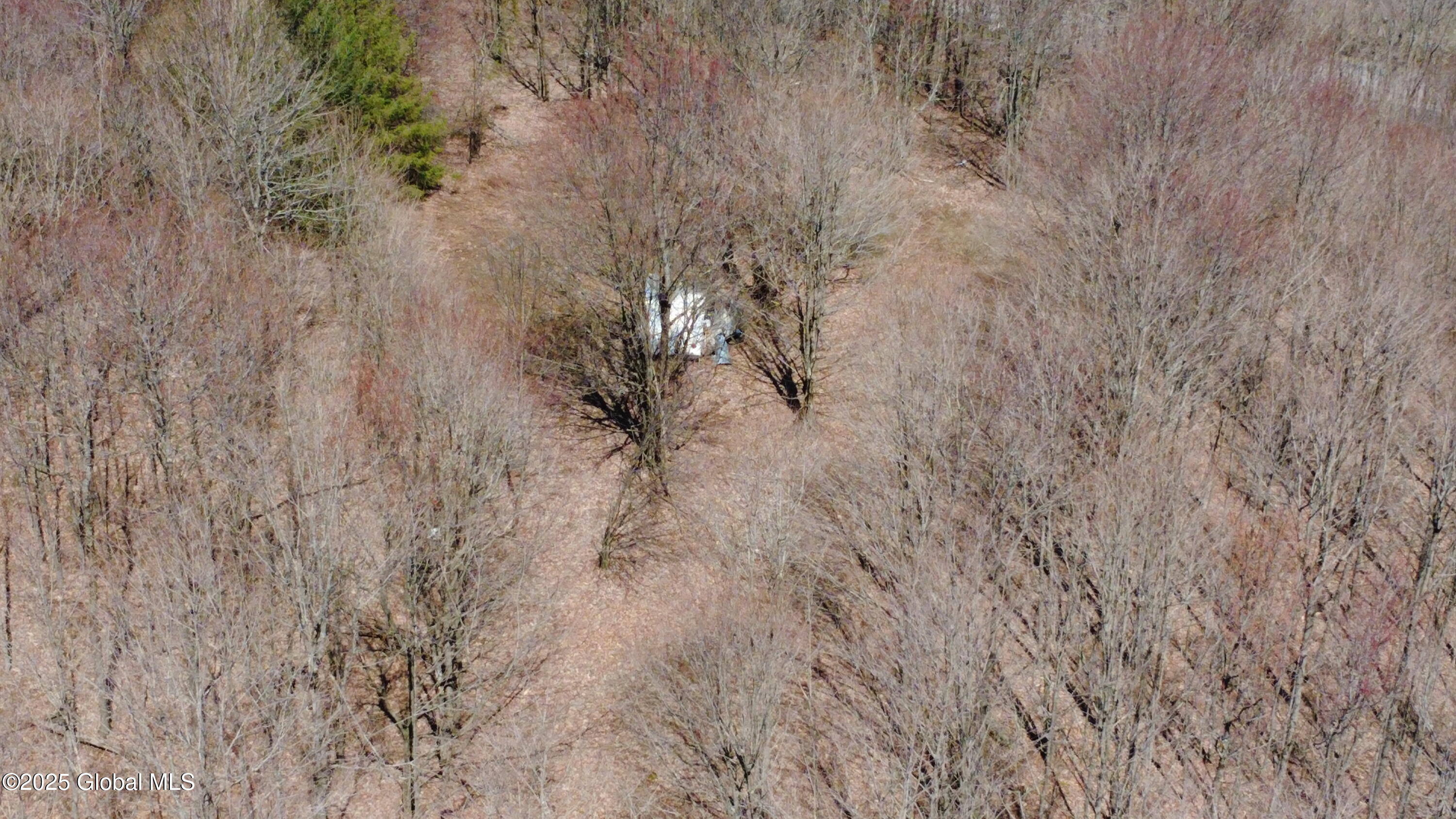 109 Sunrise Sunset Drive, Jefferson, New York image 9