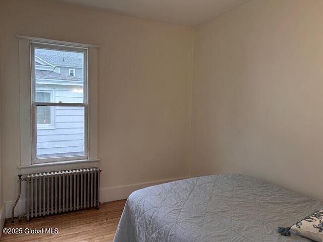 34 Gorski Street, Amsterdam, New York image 15