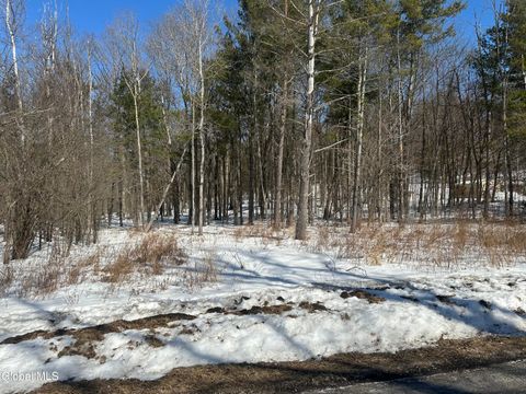 Photo of L1 Verda Avenue, Clarksville, NY 12041 (MLS # 202612753)