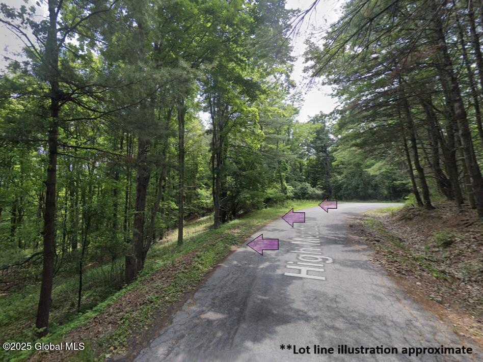 00 High Meadow Lane, Voorheesville, New York image 3