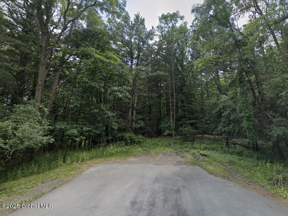 00 High Meadow Lane, Voorheesville, New York image 11