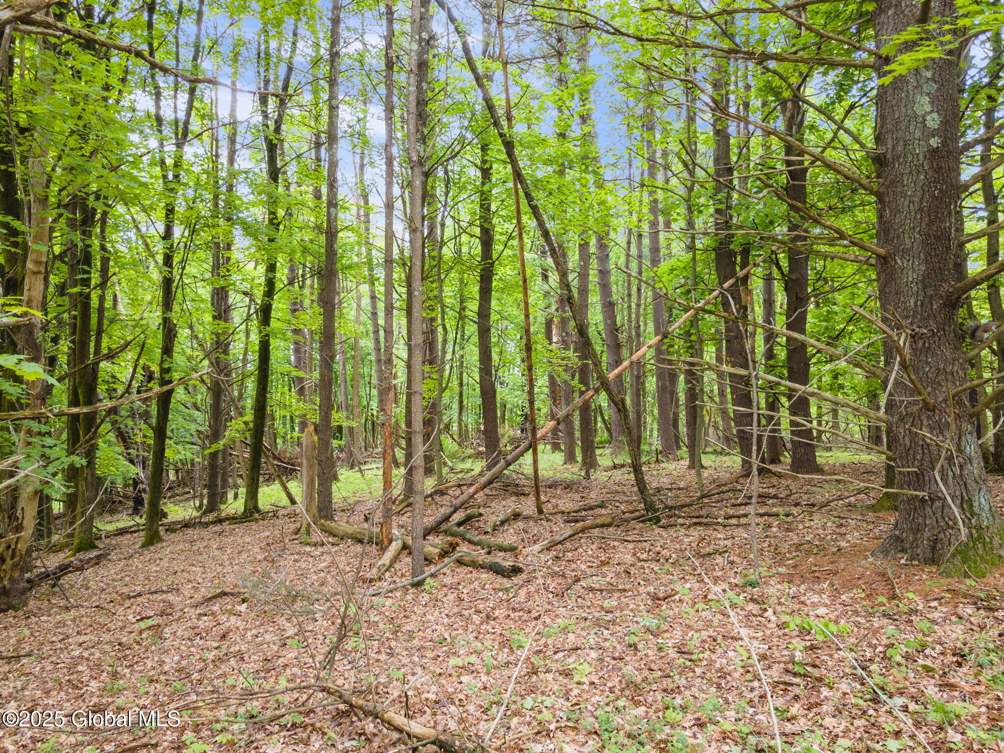 00 High Meadow Lane, Voorheesville, New York image 6