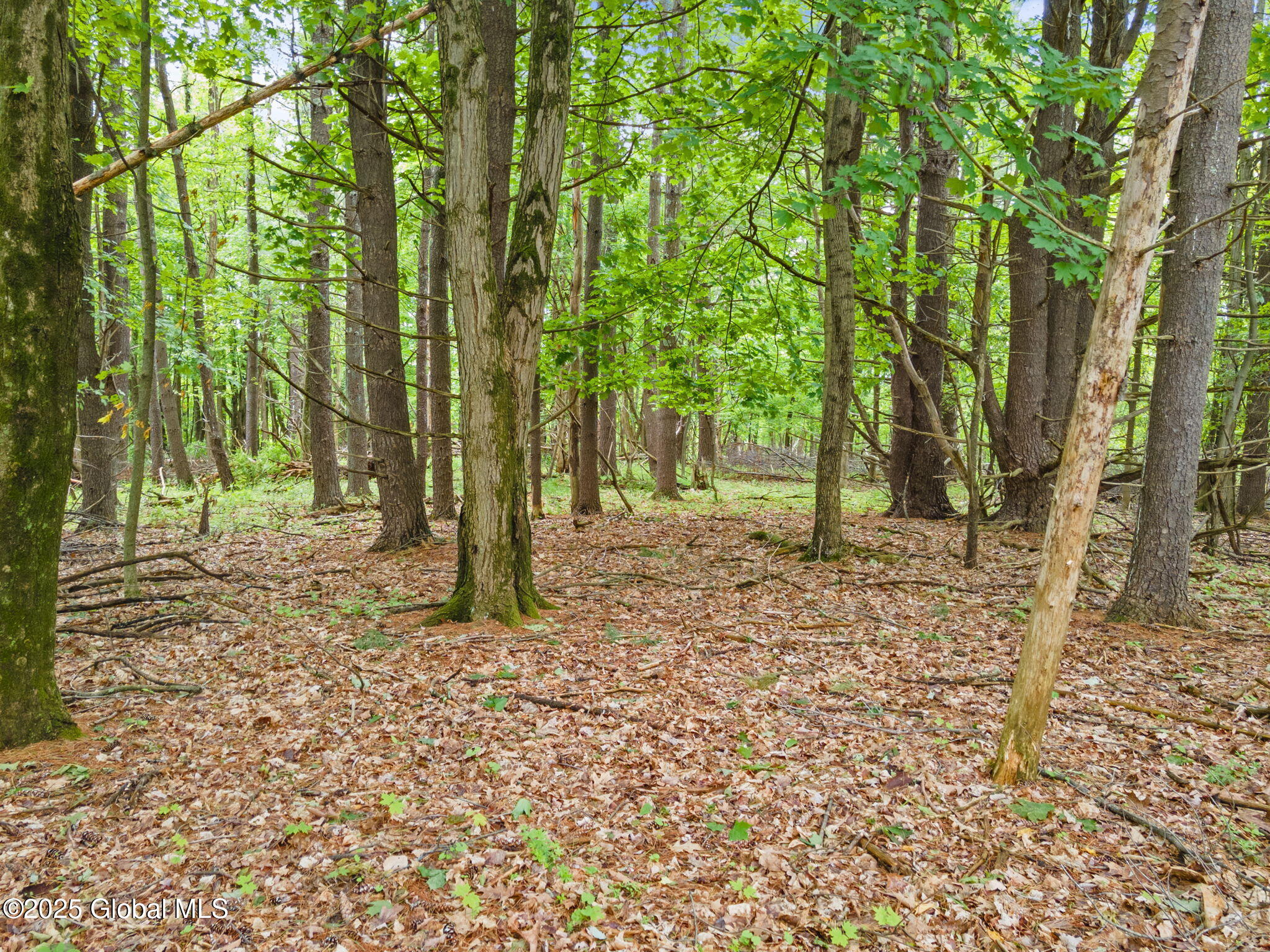 00 High Meadow Lane, Voorheesville, New York image 7