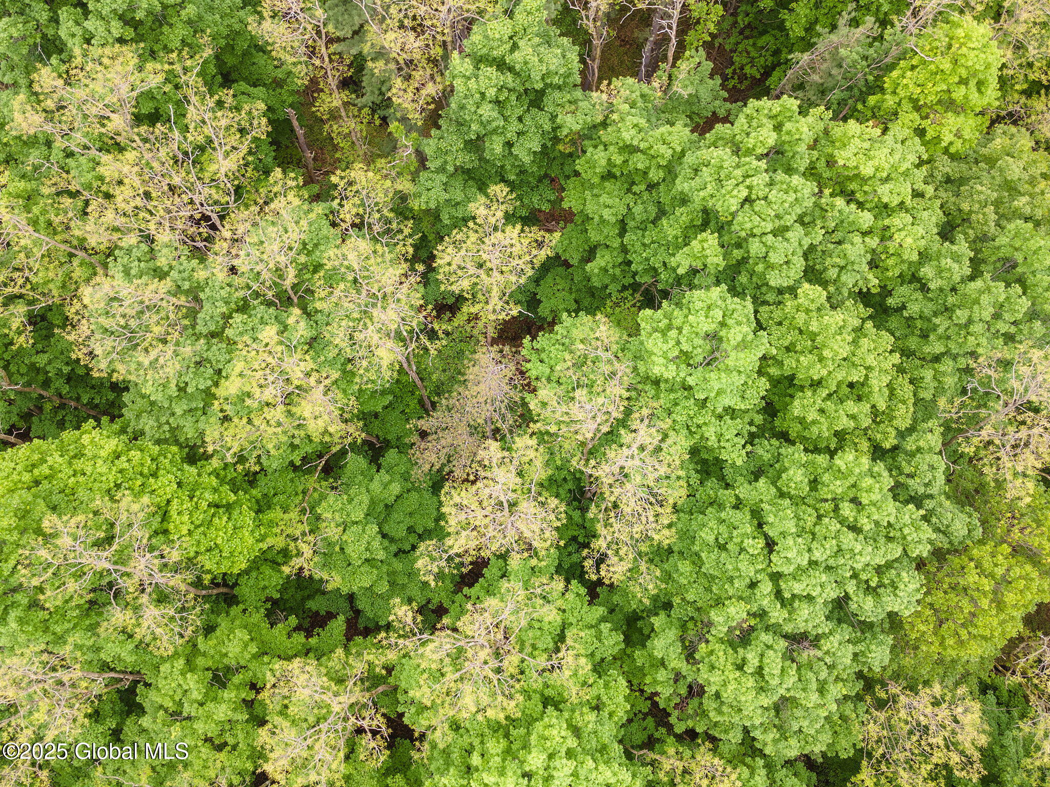 00 High Meadow Lane, Voorheesville, New York image 8