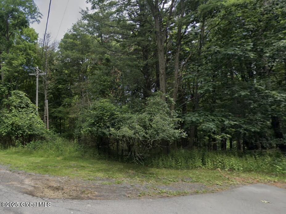 00 High Meadow Lane, Voorheesville, New York image 12