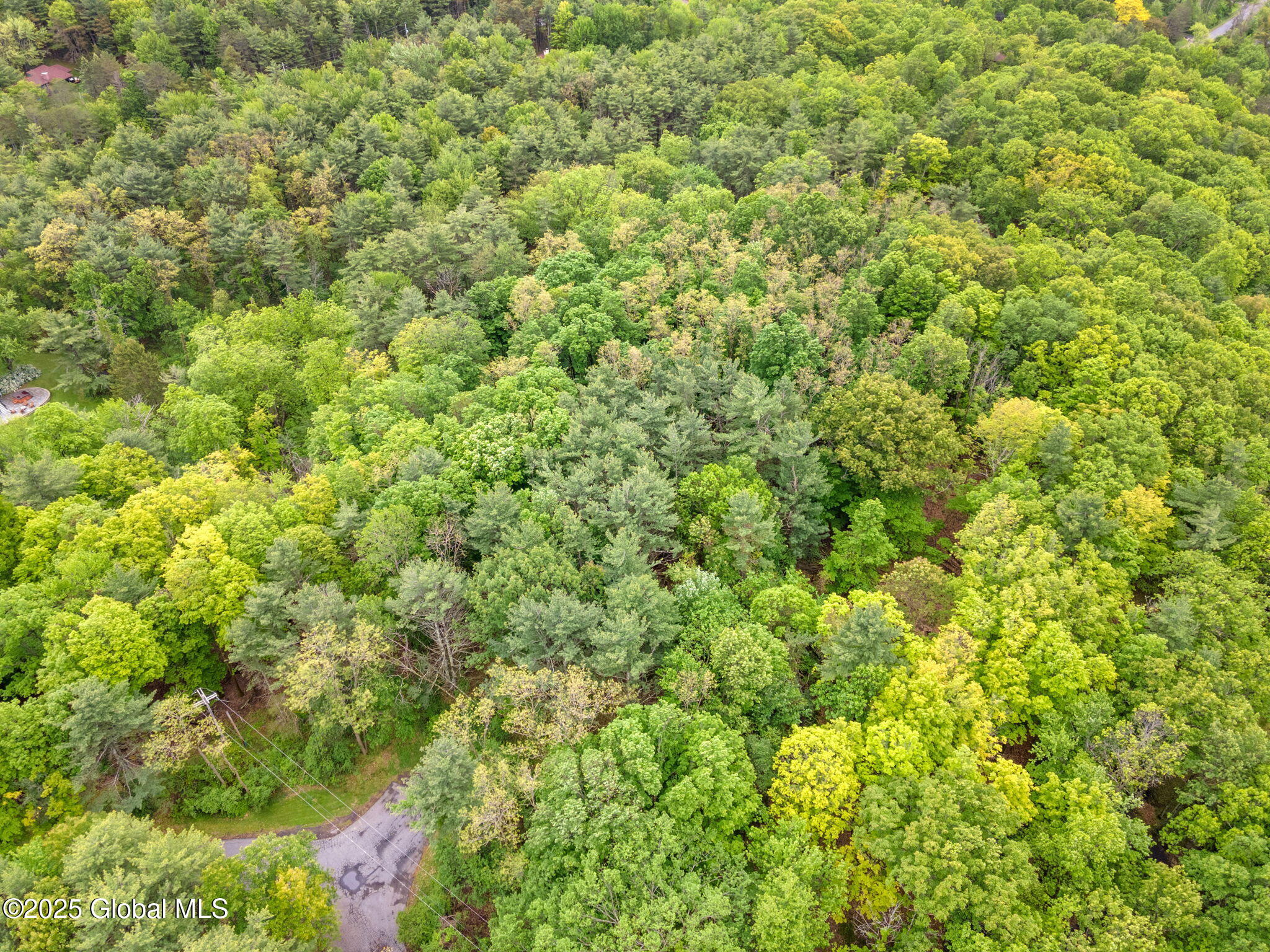 00 High Meadow Lane, Voorheesville, New York image 5