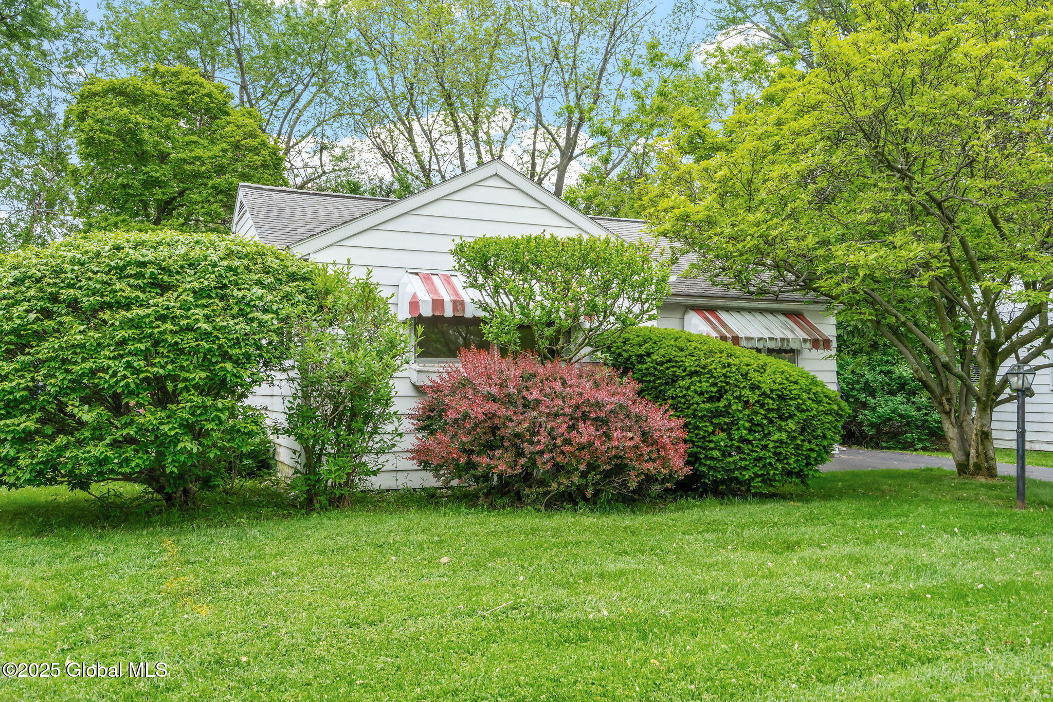 393 Whitehall Road, Albany, New York image 2