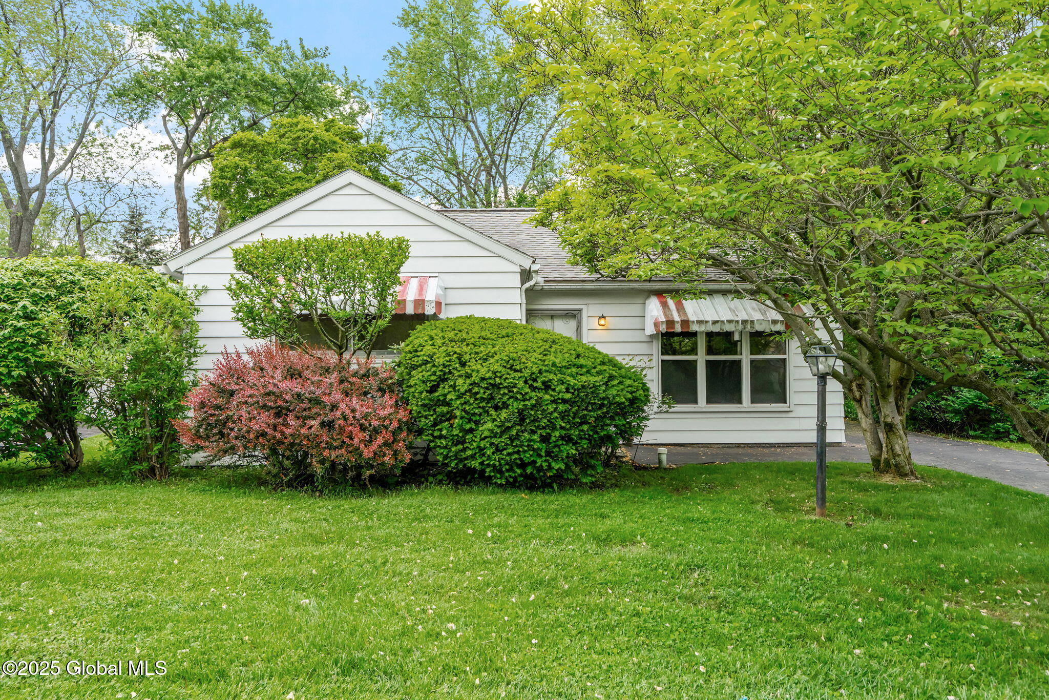 393 Whitehall Road, Albany, New York image 1
