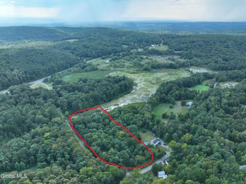Vacant Land For Sale - L80.1 Cold Water Tavern Road<br/> East Nassau, NY 12062