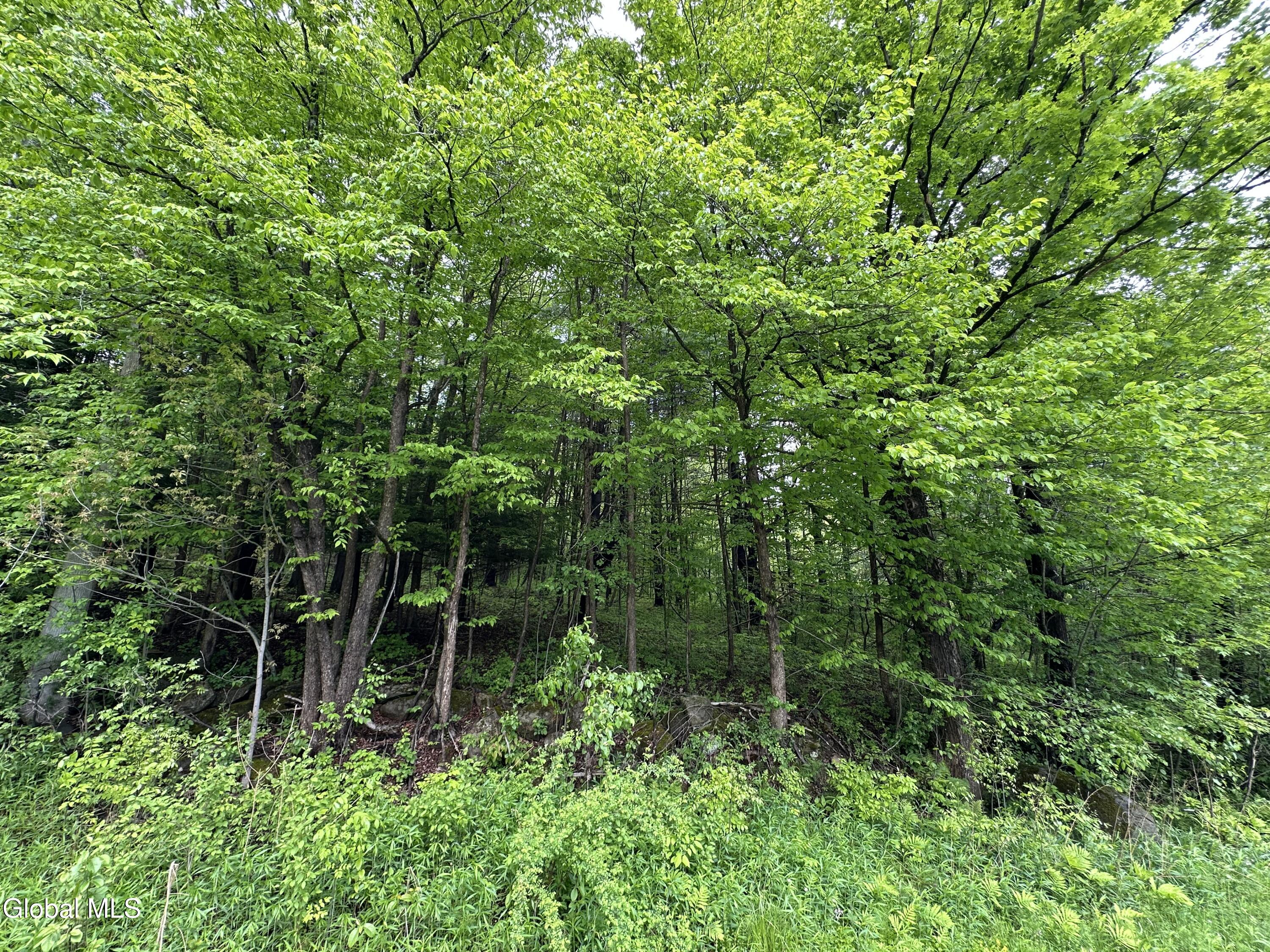 420 Tillboro Road