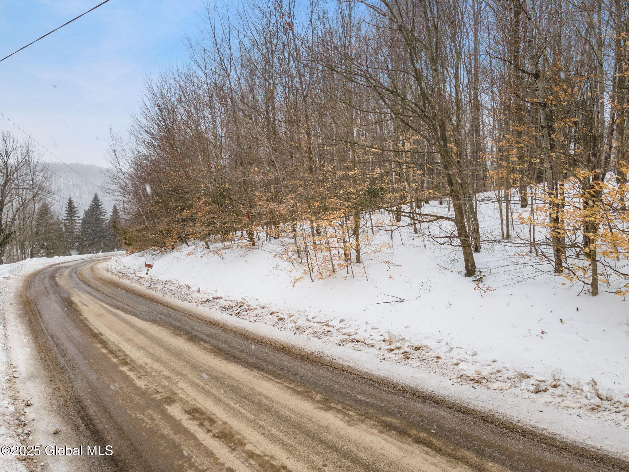 L47.02 County Highway 36, Worcester, New York image 6