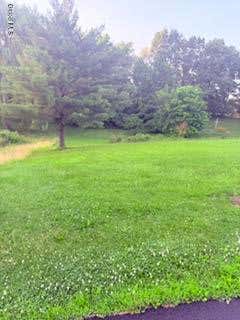 Vacant Land For Sale - L35 Parker Road<br/> South Bethlehem, NY 12158