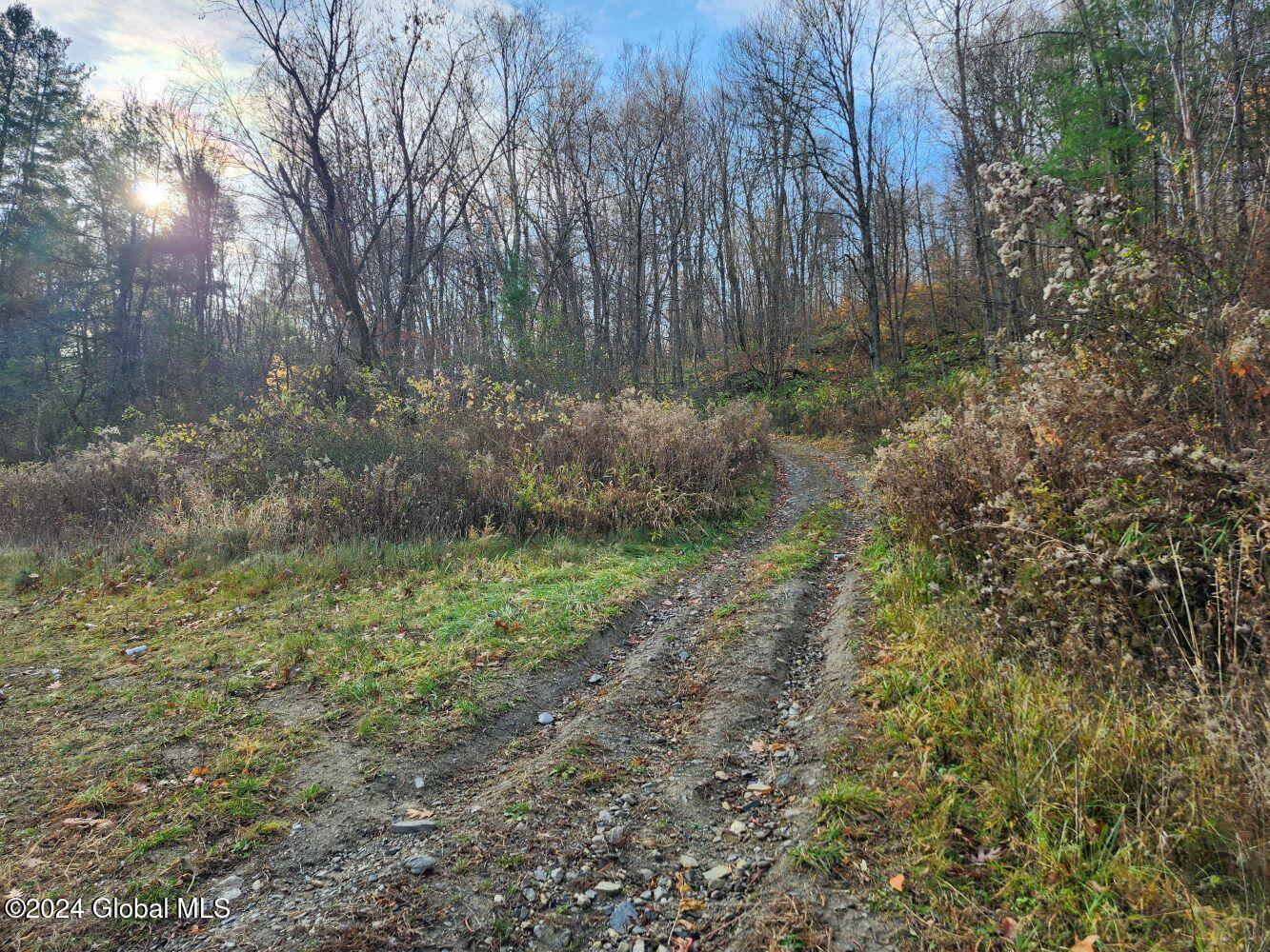 L1 Markers Road, Hoosick Falls, New York image 9