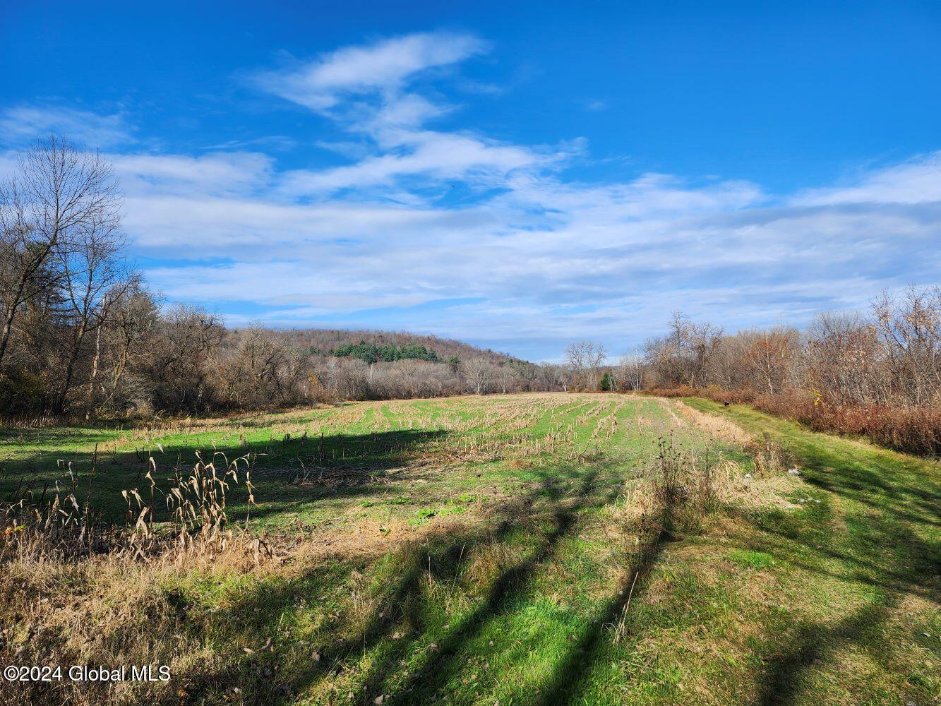 L1 Markers Road, Hoosick Falls, New York image 46